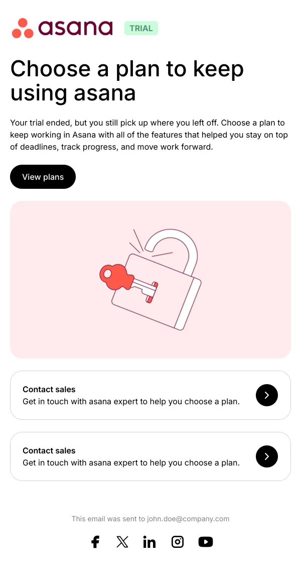 Your asana trial ended. What's next?