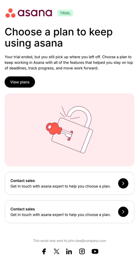 Your asana trial ended. What's next?